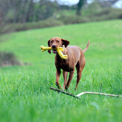 Laboni Giraffen-Hundespielzeug