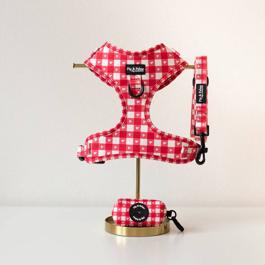 Pip and Palms Love is Blind Set Geschirr + Leine + Kotbeutelhalter