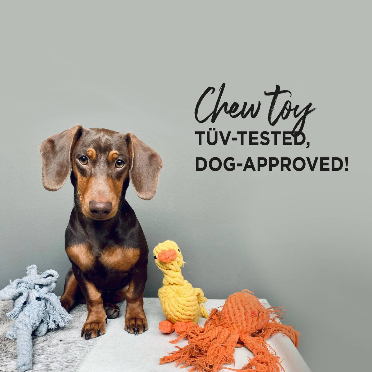 Laboni DOGGY DOG – kutyajáték