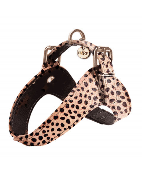 Milk & Pepper Hundegeschirr mit Leopardenmuster