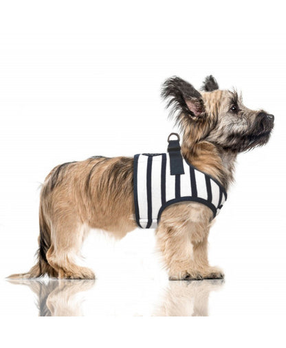 Milk & Pepper Loan Hundegeschirr