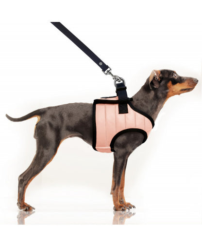 Milk and pepper Nautic Hundegeschirr