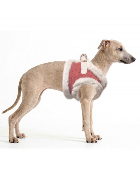 Milk and Pepper Solene Wintergeschirr für Hunde