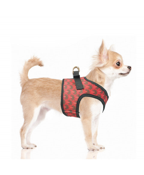 Milk & Pepper Layana Hundegeschirr