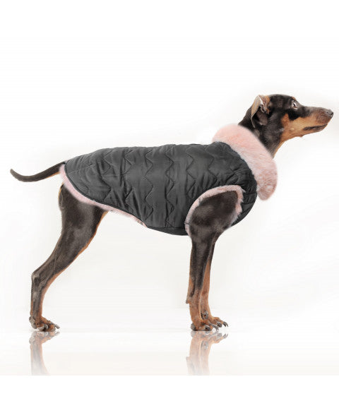 Milk and Pepper Louise wendbarer Wintermantel für Hunde