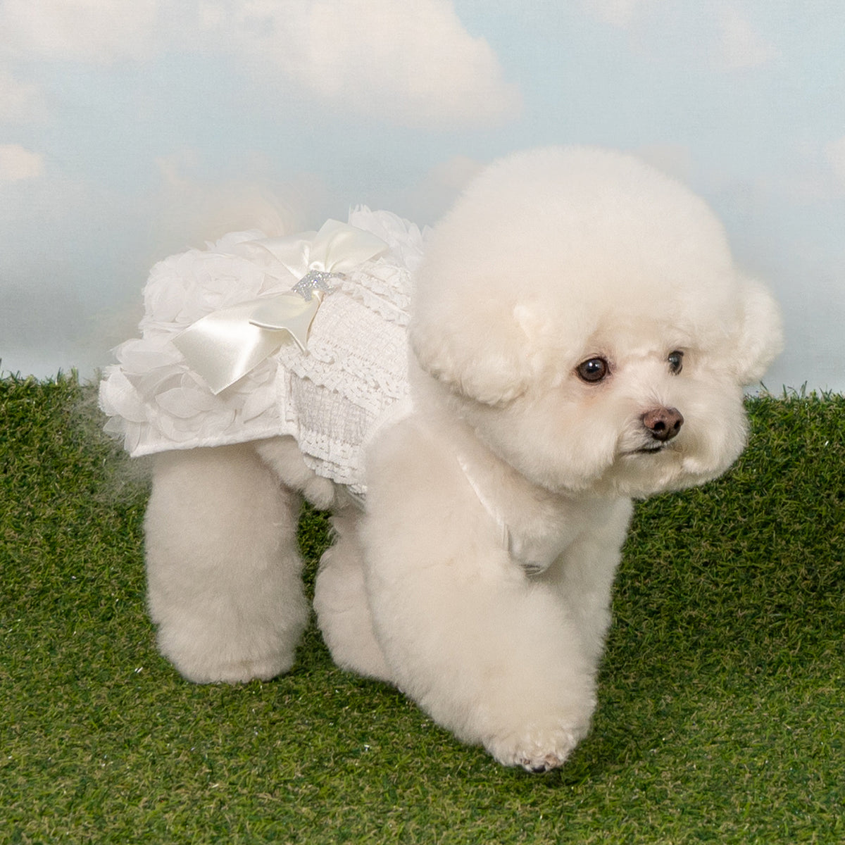 Pinkaholic Otelia casual dog clothes