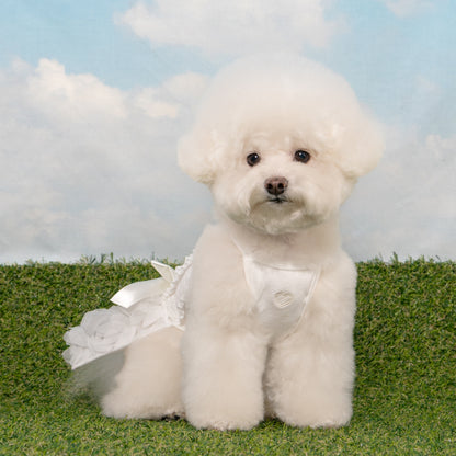 Pinkaholic Otelia casual dog clothes