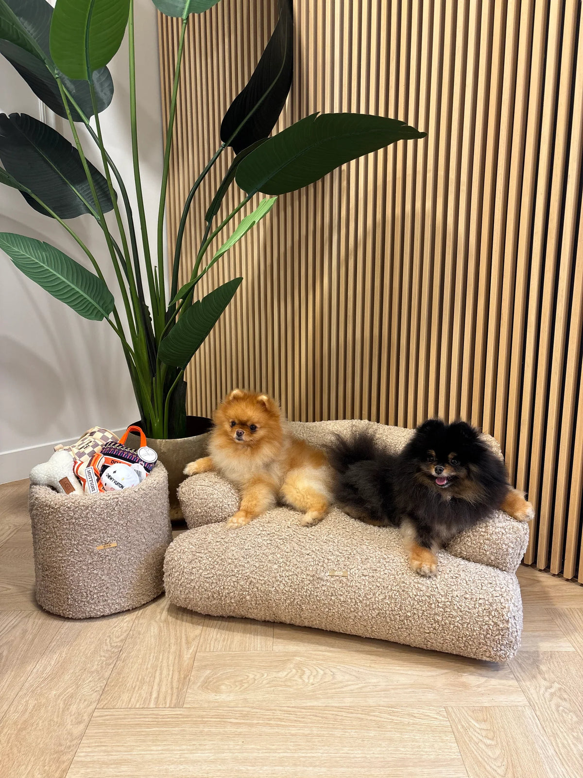 Elite Puppy Teddy Luxus-Hundesofa