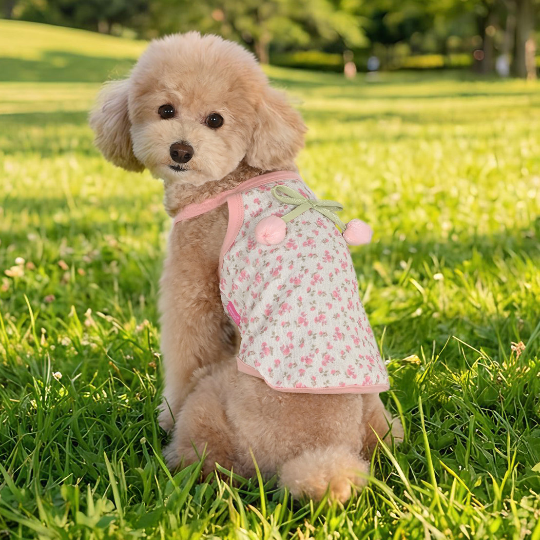 Pinkaholic Cherry dog ​​clothes