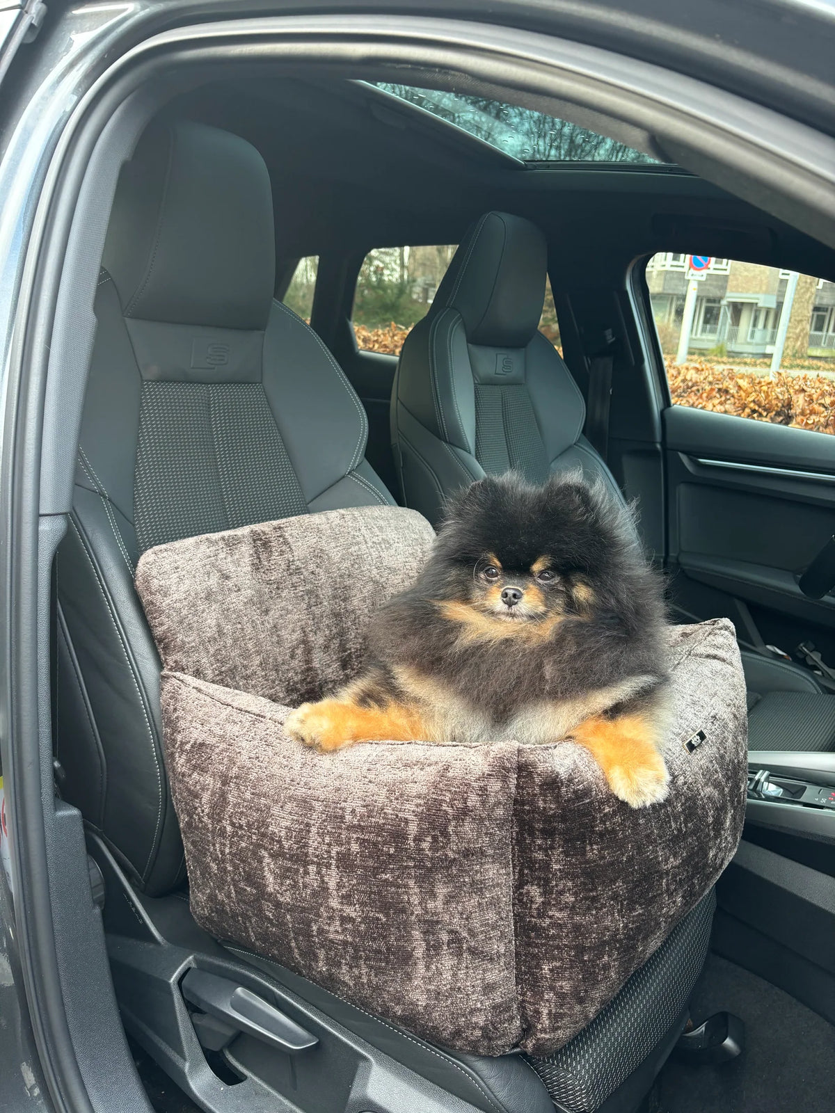Elite Puppy Miu-Autositz
